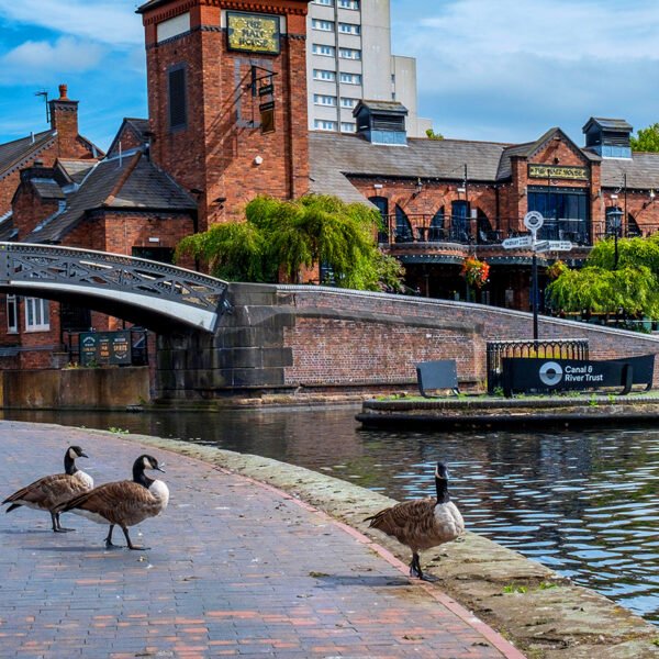 Exploring Birmingham: Discover the Best of England's West Midlands