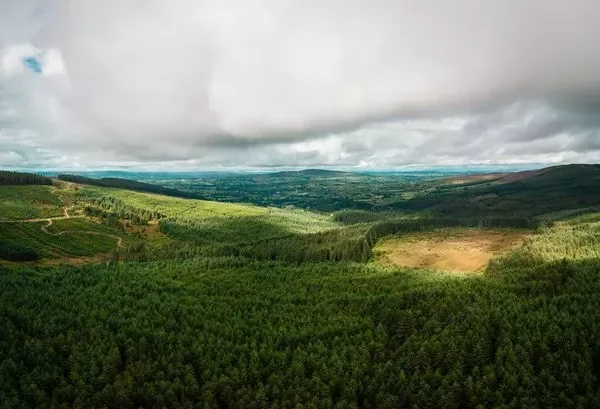 Exploring Omagh: Unveiling the Charms of Northern Ireland's Hidden Gem